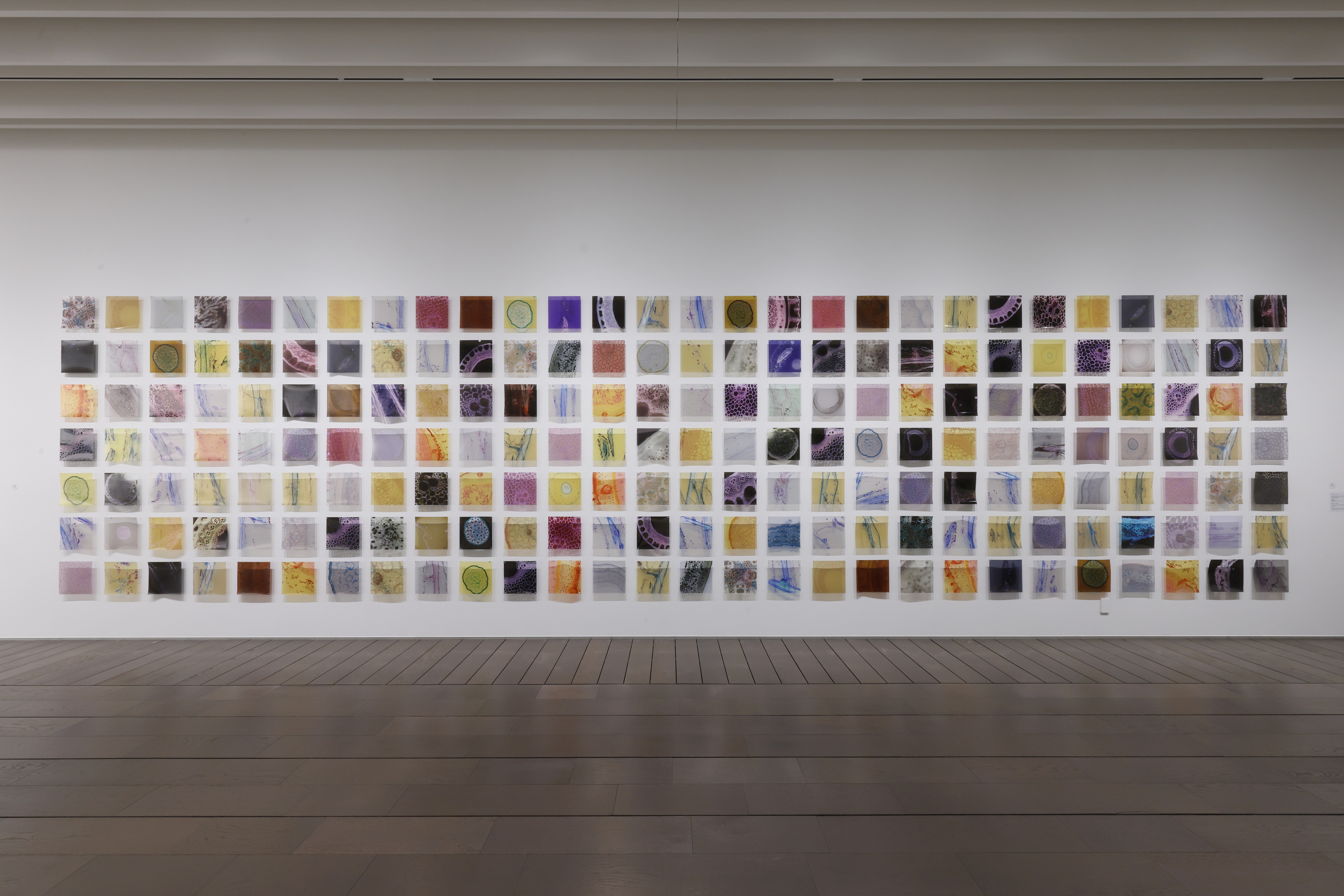 Maree Clarke, now you see me seeing the invisible, 2023